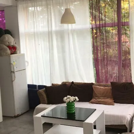 Guest house Studio Cosmin *
